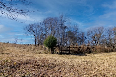 0 Saint Paul Church Rd, Shiloh, GA 31826 - photo 3