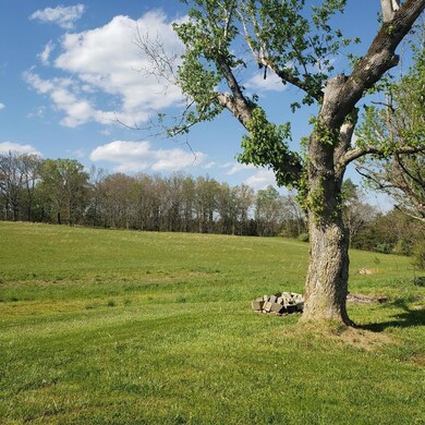 8414 Sevierville Pike, Knoxville, TN 37920 - photo 6