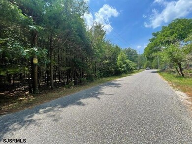 0 Columbia Rd unit 586593, Egg Harbor City, NJ 08215 - photo 7