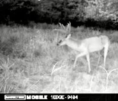 0 Oklahoma 109, Boswell, OK 74727 - photo 3