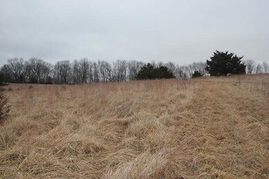 IMG_9594.jpg