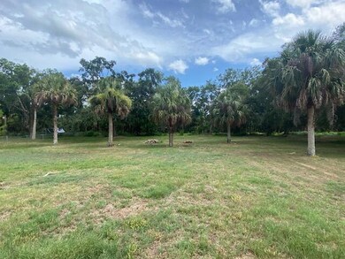 . 53 acre Backyard view
