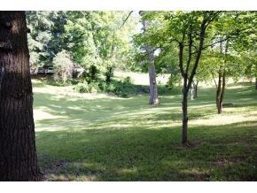 809 Swadley Rd, Johnson City, TN 37601 - photo 4