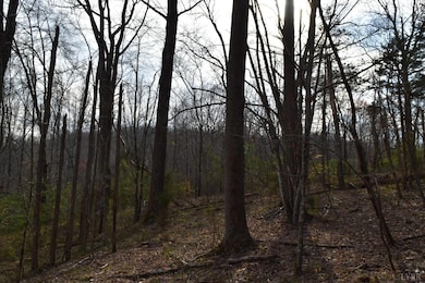 0 Castle Creek Ln, Roseland, VA 22967 - photo 6