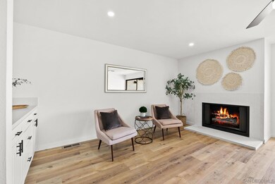 7306 Alicante Rd unit 2, Carlsbad, CA 92009 - photo 6