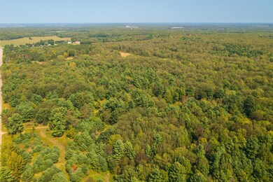 235.05 acres Boundary Rd, Hatley, WI 54471 - photo 5