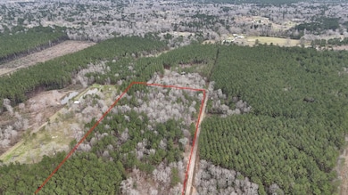 0 County Line Rd unit 15374642, Shepherd, TX 77371 - photo 4