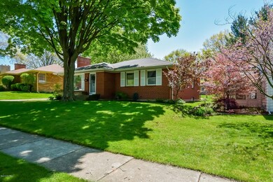 001-Front_View-2766103-medium[1]