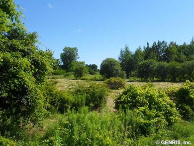 Land/Lot You are looking at the eastern view of th