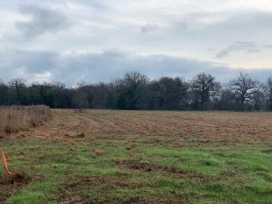 0 County Road 1315, Malakoff, TX 75148 - photo 3