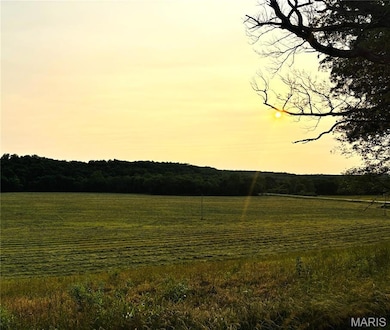 000 Wayne Route D, Greenville, MO 63944 - photo 3