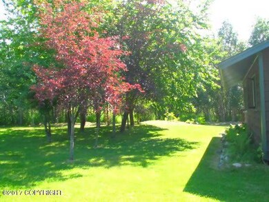 Sunny yard with lots of trees