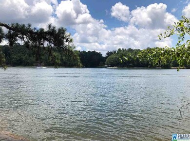 0 County Road 3292 unit 1 854493, Wedowee, AL 36278 - photo 4