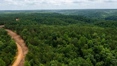 0 Old Mail Rd unit 24835045, Duck River, TN 38454 - photo 4