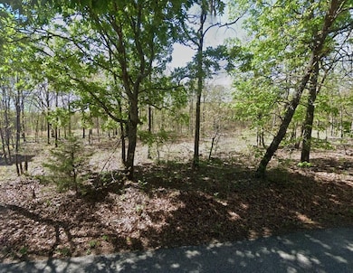 0 Eagle Dr, Eucha, OK 74342 - photo 3