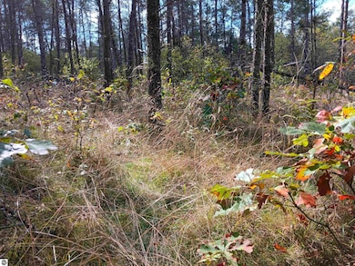 1433 S Peacock Trail, Baldwin, MI 49304 - photo 6