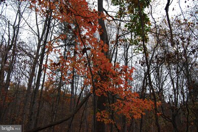 Lot 12 Tall Pines Ln, Berkeley Springs, WV 25411 - photo 6