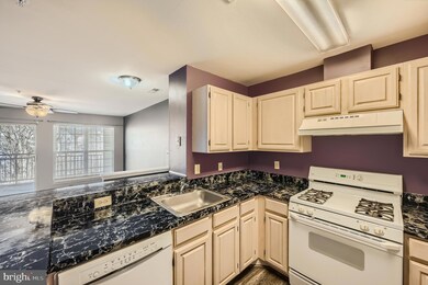 5225 Wagon Shed Cir, Owings Mills, MD 21117 - photo 4