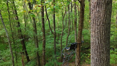 606 Mountain View Rd, Williamston, SC 29697 - photo 4