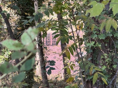 3285 Lake Dr, Lawrenceville, GA 30044 - photo 6