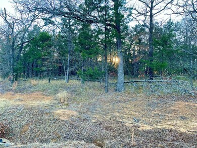 Lot 13 Castle Pines Cir, Whitesboro, TX 76273 - photo 5