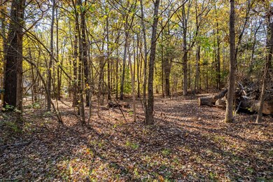 404 Turnberry Cir, Oxford, MS 38655 - photo 2