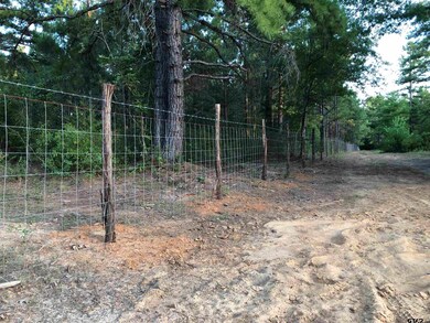 TBD Tbd Cr 233, Arp, TX 75750 - photo 7