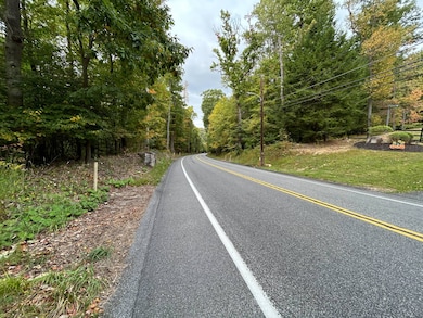 0 Rt 271 (Menhore Blvd) unit 11357205, Johnstown, PA 15905 - photo 6