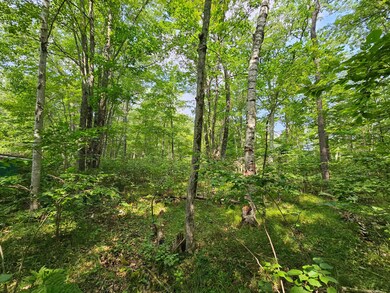 ON Marie Ln, Minocqua, WI 54548 - photo 7