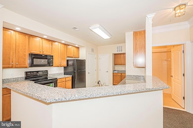 1405 Wigeon Way unit 206, Gambrills, MD 21054 - photo 3