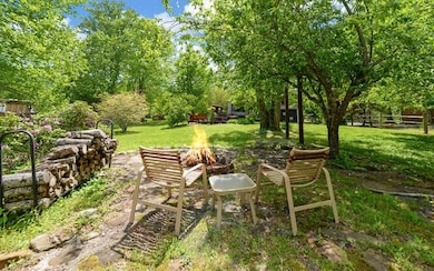 209 Cedar Mtn Trout Farm, Blairsville, GA 30512 - photo 7