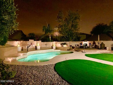 Backyard Oasis