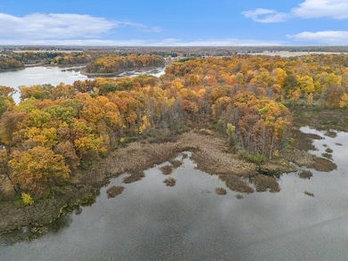 14085 Peninsula Dr, Charleston Township, MI 49053 - photo 6