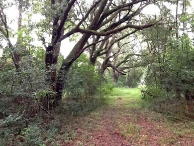 summitt plantation 5