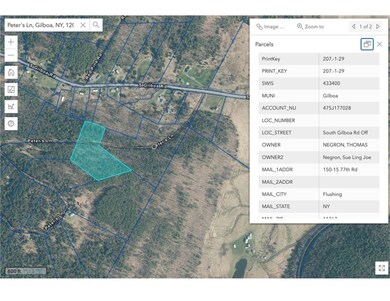 29 Peter's Ln, Gilboa, NY 12076 - photo 6