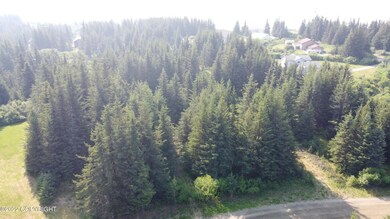 DJI_0806