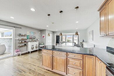 7316 Palma Ln, Morton Grove, IL 60053 - photo 7