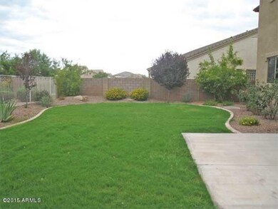 BACK-YARD