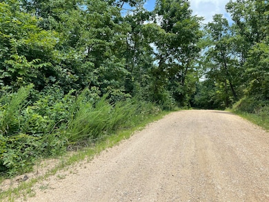 000 Foxfield Rd, Mammoth Spring, AR 72554 - photo 7