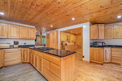 8751 Stoney Ridge Rd, Vanderbilt, MI 49795 - photo 6