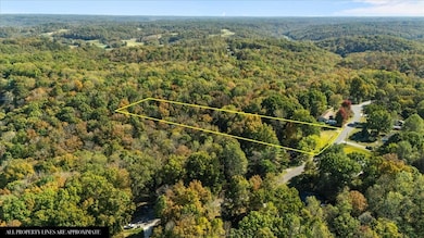 1006 Crestview Ct, Kingston Springs, TN 37082 - photo 3