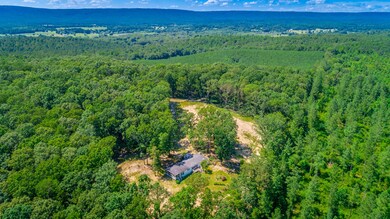 2264 Josh Ward Rd, Summerville, GA 30747 - photo 6