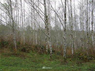 0 M.P. 63 U S 101, Raymond, WA 98577 - photo 2