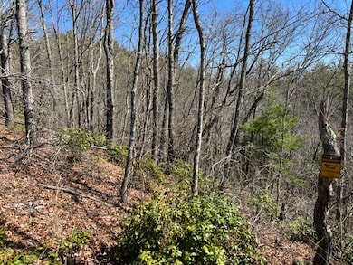 Lot 4 Mystic Ridge Way W, Topton, NC 28734 - photo 6