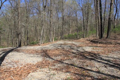 16331SkinnerHockingHills