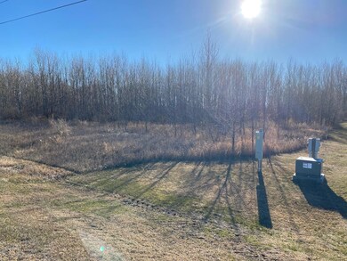 null County Road 86 SE, Hudson Township, MN 56308 - photo 2