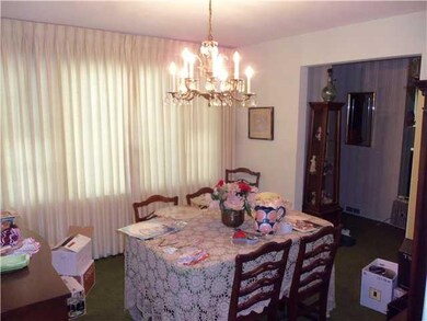 Dining Room Hardwoods under carpet!