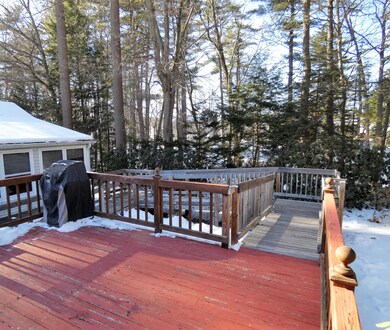 Deck & Yard
