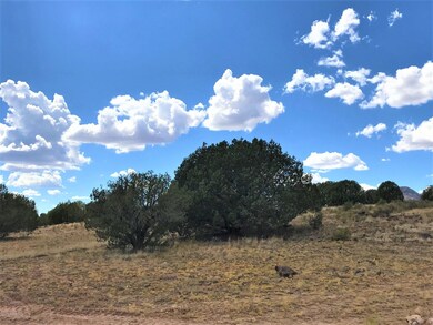 70 Off of Rawhide Ranch Rd, Ash Fork, AZ 86320 - photo 3
