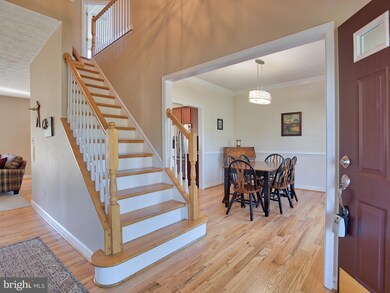 256 Founders Way, Strasburg, VA 22657 - photo 3